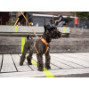 Harnais dog copenhagen Comfort Walk Air™ Harness