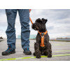 Harnais dog copenhagen Comfort Walk Air™ Harness