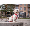 Laisse Urban Rope™ Dog Copenhagen - Nouvelle collection