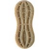 Peanut Sodapup