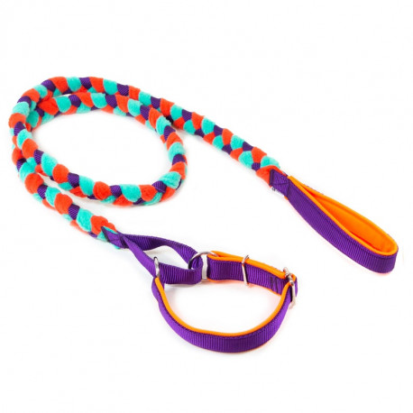 Laisse tug avec collier intégré