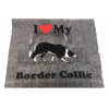 Vet Bed Border Collie
