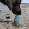 Smoothie pour chien - Trink-pause - CANARD