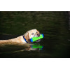 Chuckit Amphibious Bumper Jouet Flottant pour Chien