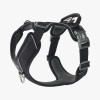 Harnais dog copenhagen Comfort Walk Pro™ Nouvelle collection