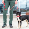 Laisse Urban Rope™ Dog Copenhagen Nouvelle collection