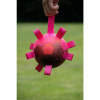 Balle Dog Comets Hypernova Orange Pink