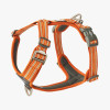 Harnais dog copenhagen Comfort Walk Air™