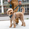 Harnais dog copenhagen Comfort Walk Air™