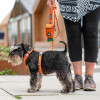 Harnais dog copenhagen Comfort Walk Air™