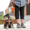 Harnais dog copenhagen Comfort Walk Air™
