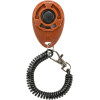 Clicker training + bracelet