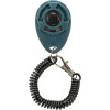 Clicker training + bracelet
