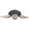 BE NORDIC Tortue Hauke