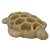 Tortue Nylon Sodapup