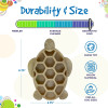 Tortue Nylon Sodapup