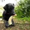 Bois de cerf dentaire en Nylon Sodapup