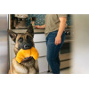 Jouet en peluche pour chien - Barking Brunch - Croissant - Pet PLAY