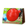 Balle Jolly Soccer Ball